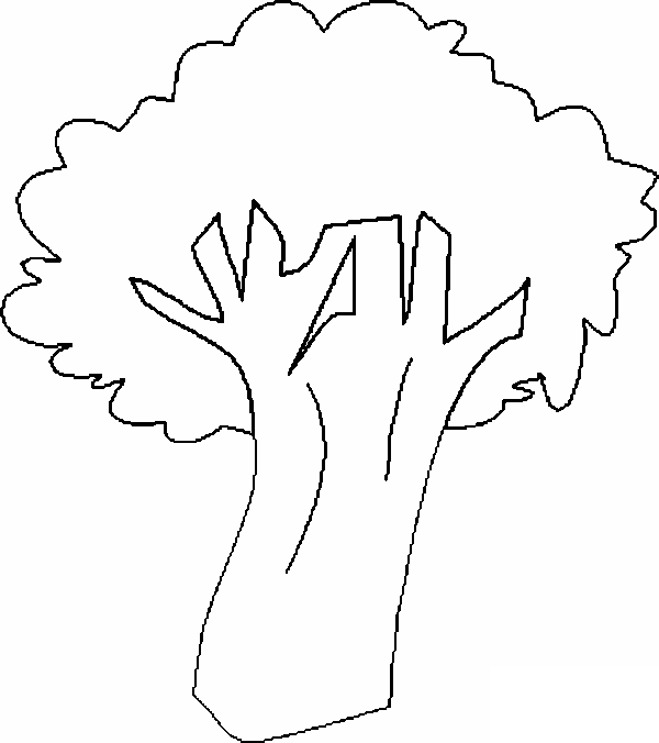 Coloriage Fruits Dessin Brocoli - Fruits à imprimer