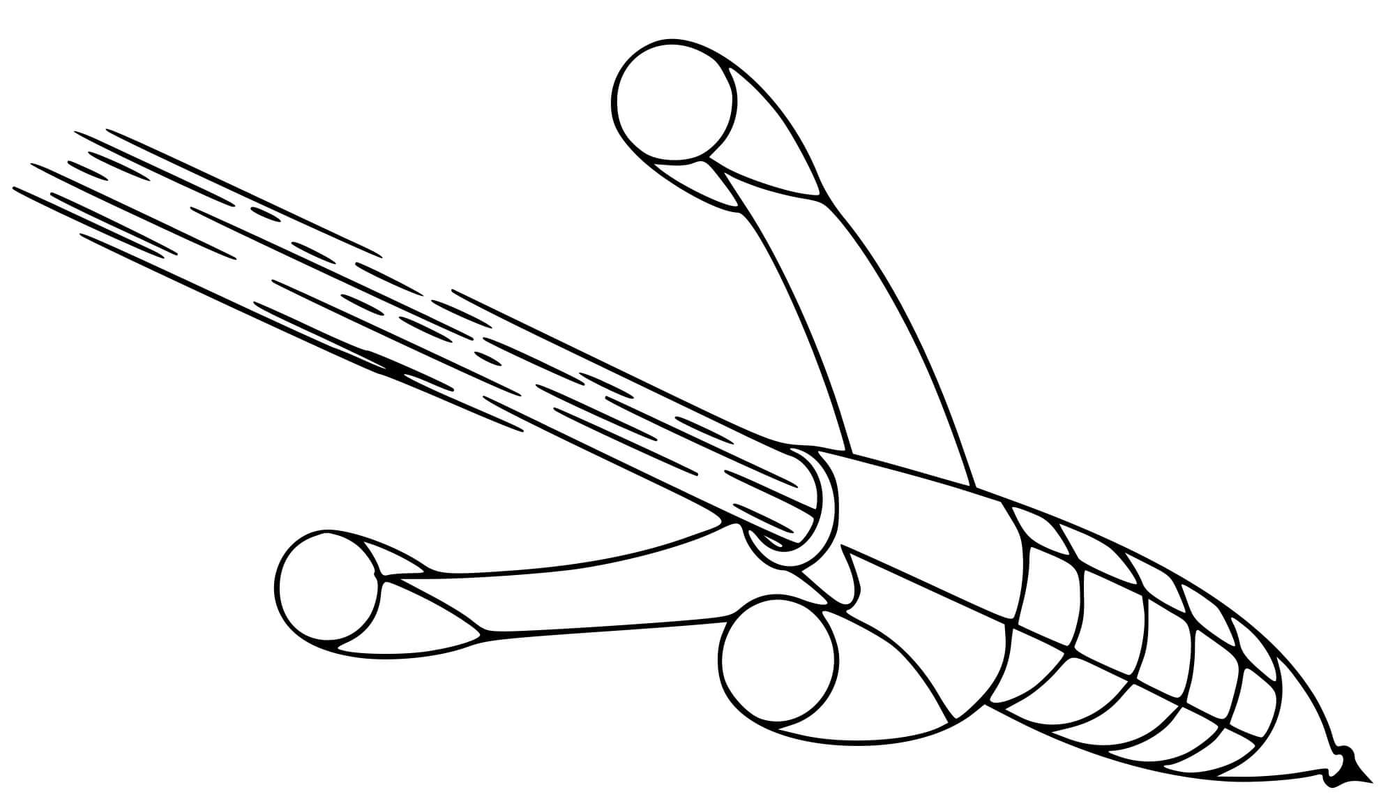Coloriage Fusée Espace Vitesse De La Lumière - Fusée à imprimer