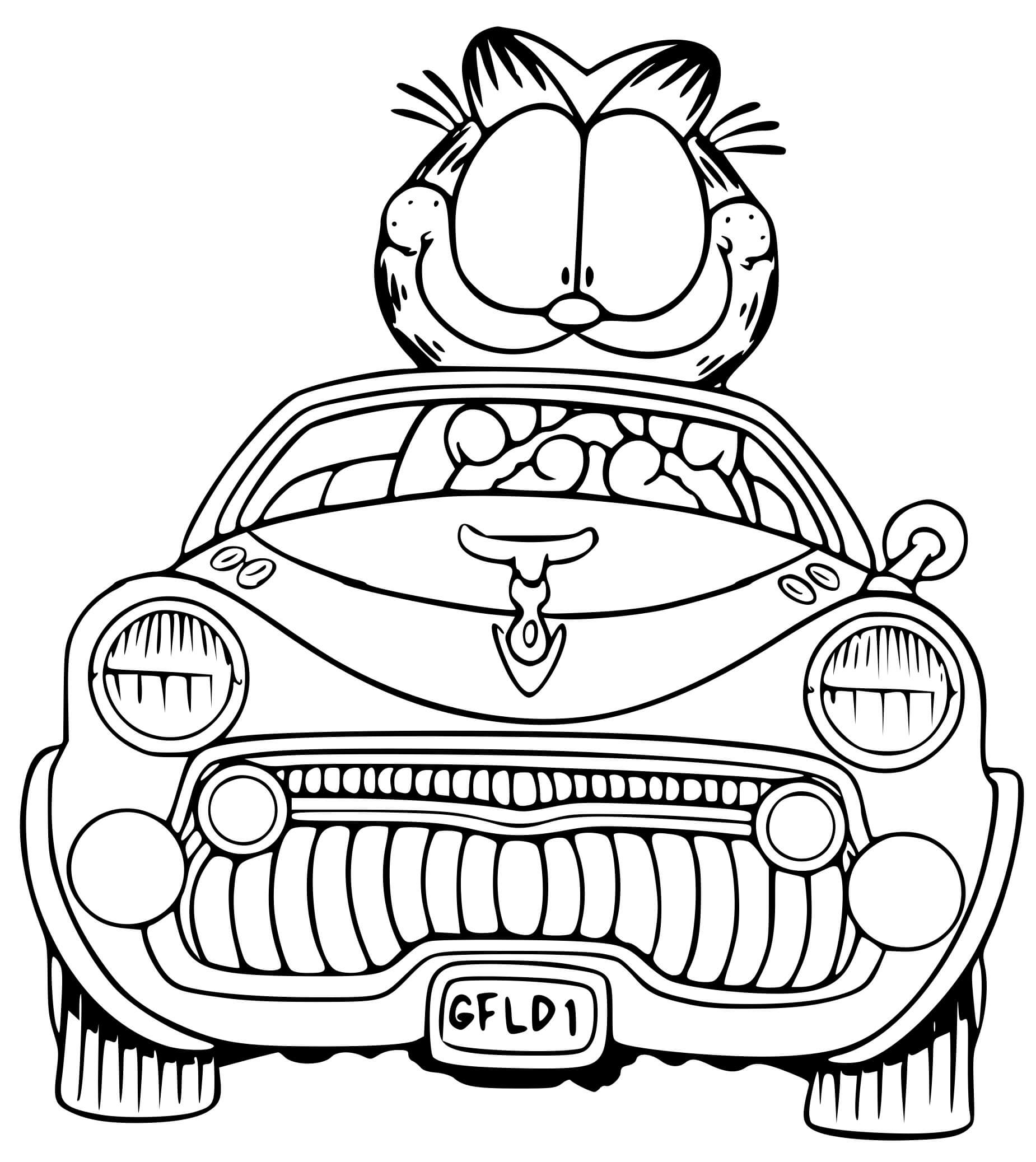 Coloriage Garfield Se Balade Sur Une Superbe Voiture De Luxe - Garfield à imprimer