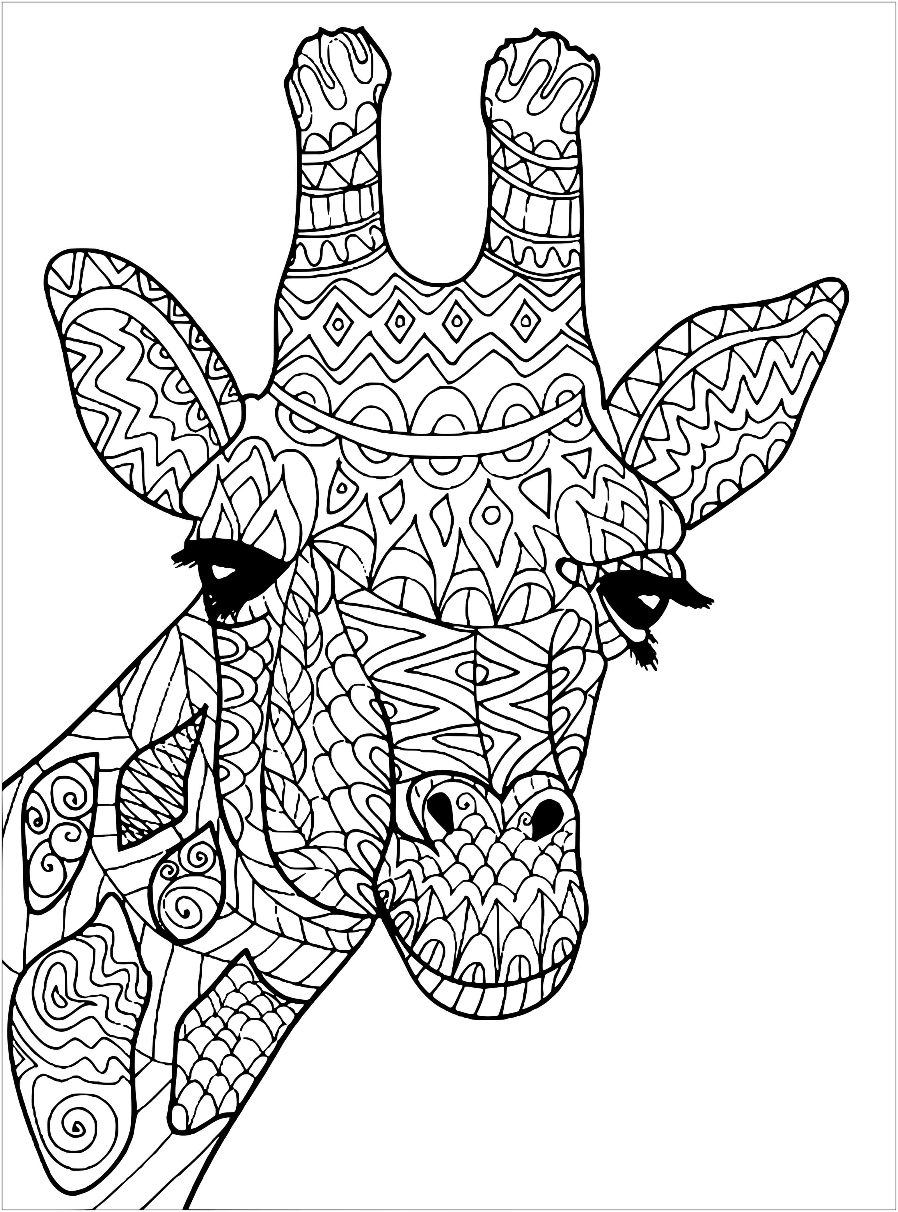 Coloriage Girafe Adulte Zen Anti Stress - Girafe à imprimer