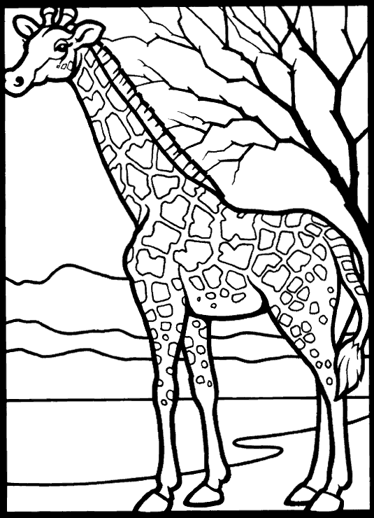 Coloriage Girafe Et Arbre - Arbre à imprimer