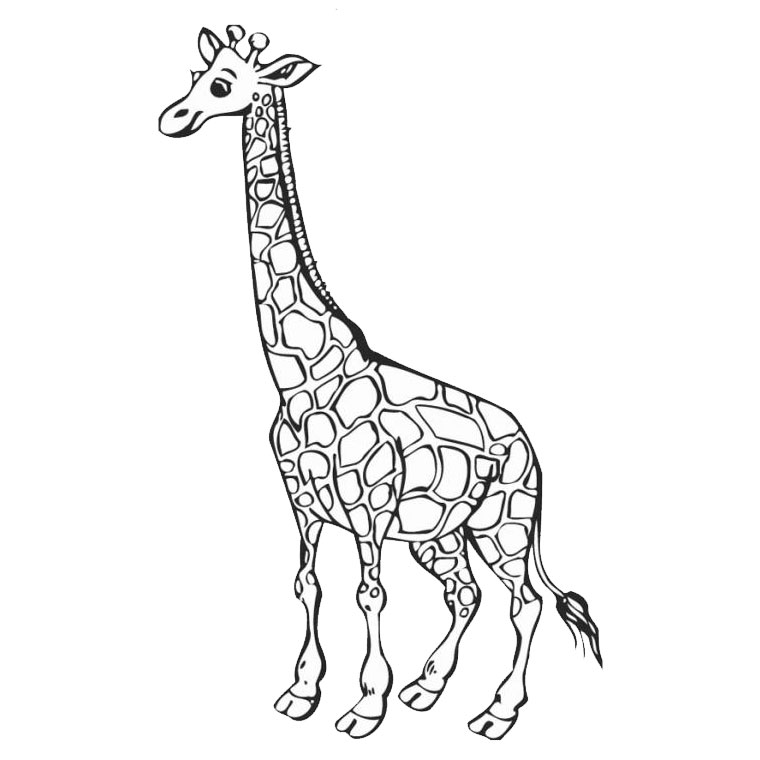 Coloriage Girafe Madagascar - Animaux à imprimer