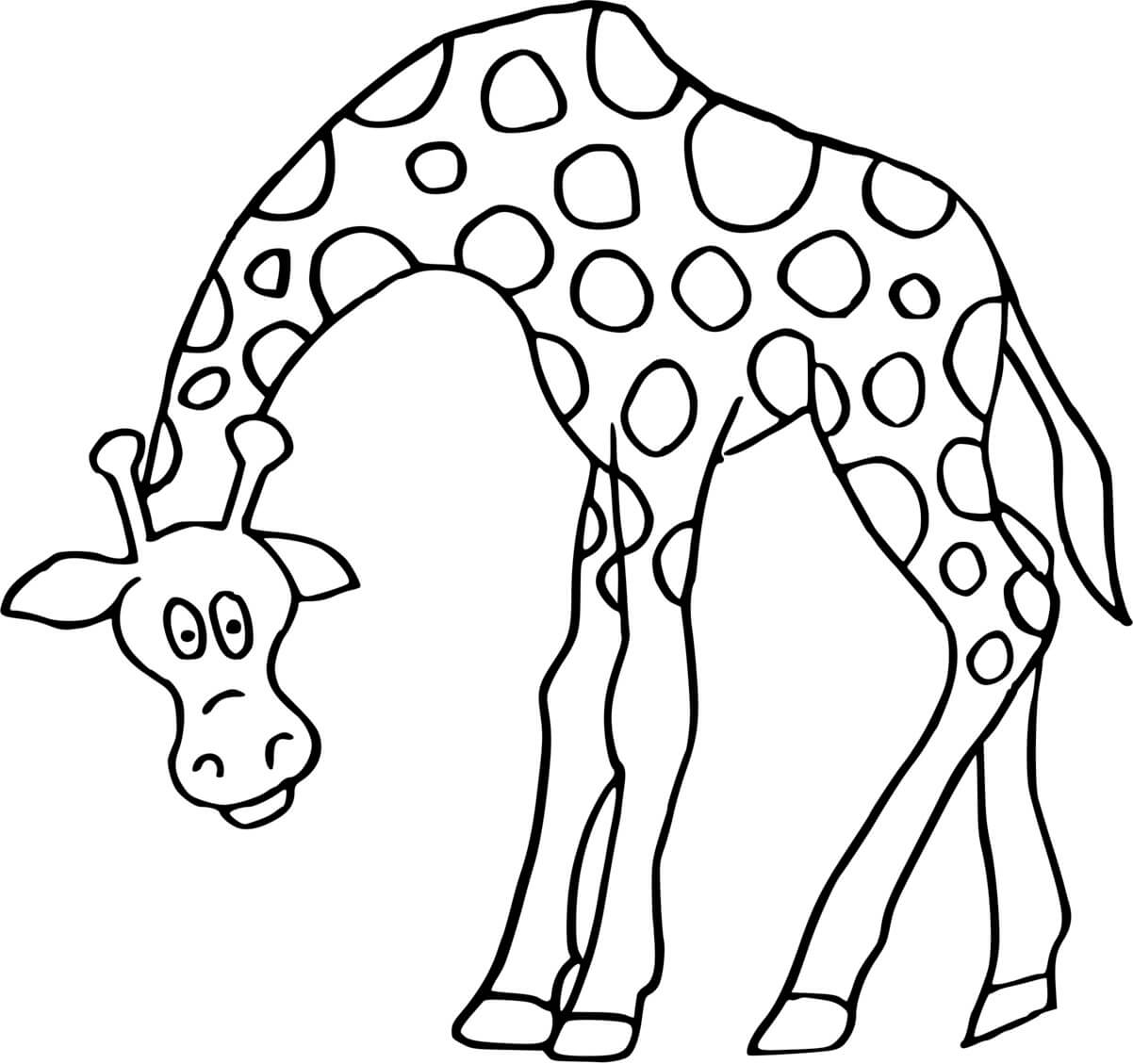 Coloriage Girafe Qui Baisse Tête - Girafe à imprimer