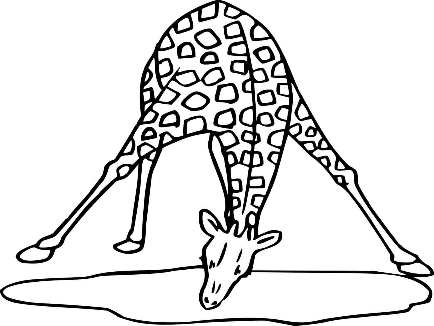 Coloriage Girafe Qui Boit De L'Eau - Girafe à imprimer