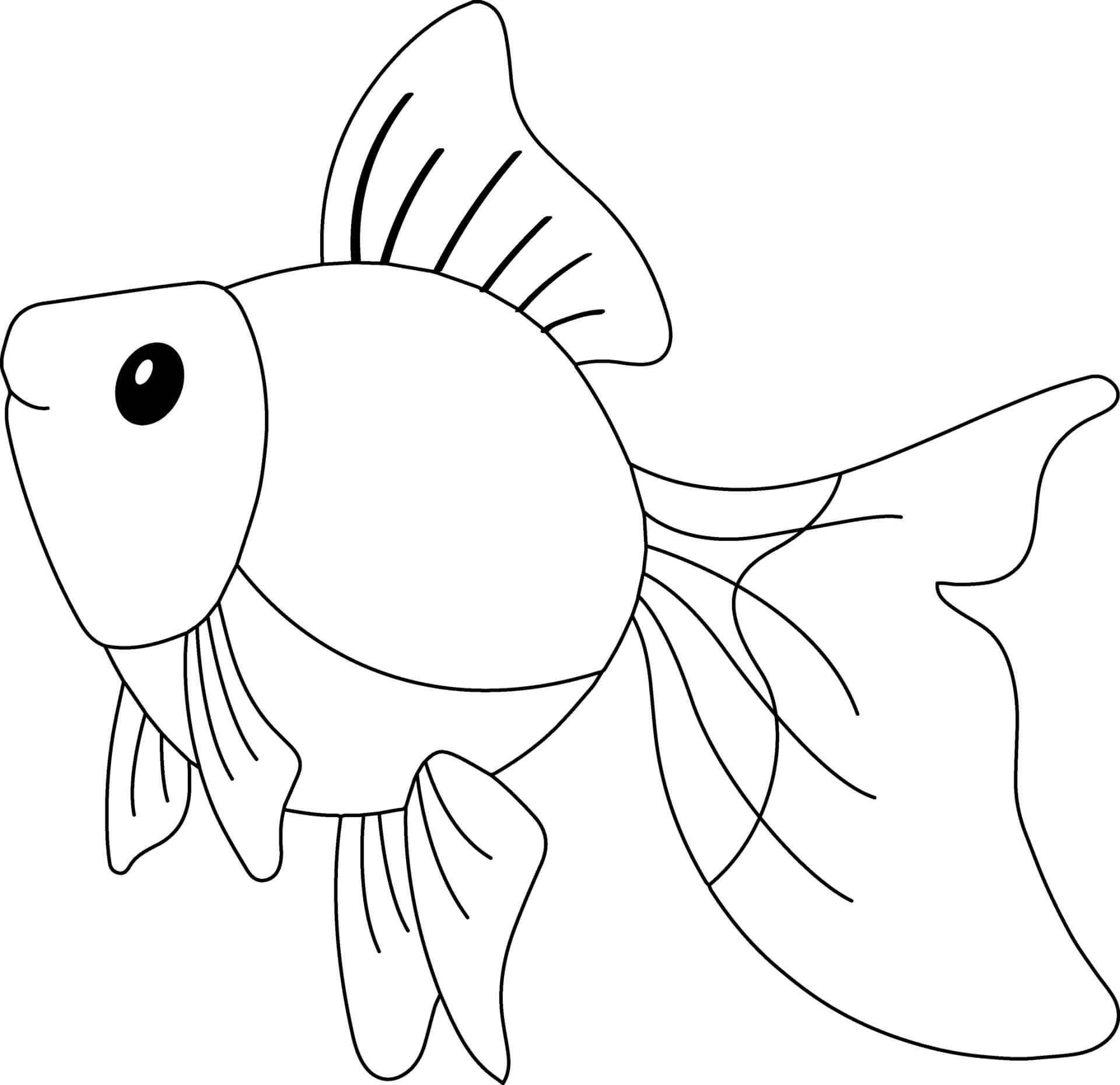 Coloriage Goldfish Est Un Poisson Rouge - Animal à imprimer