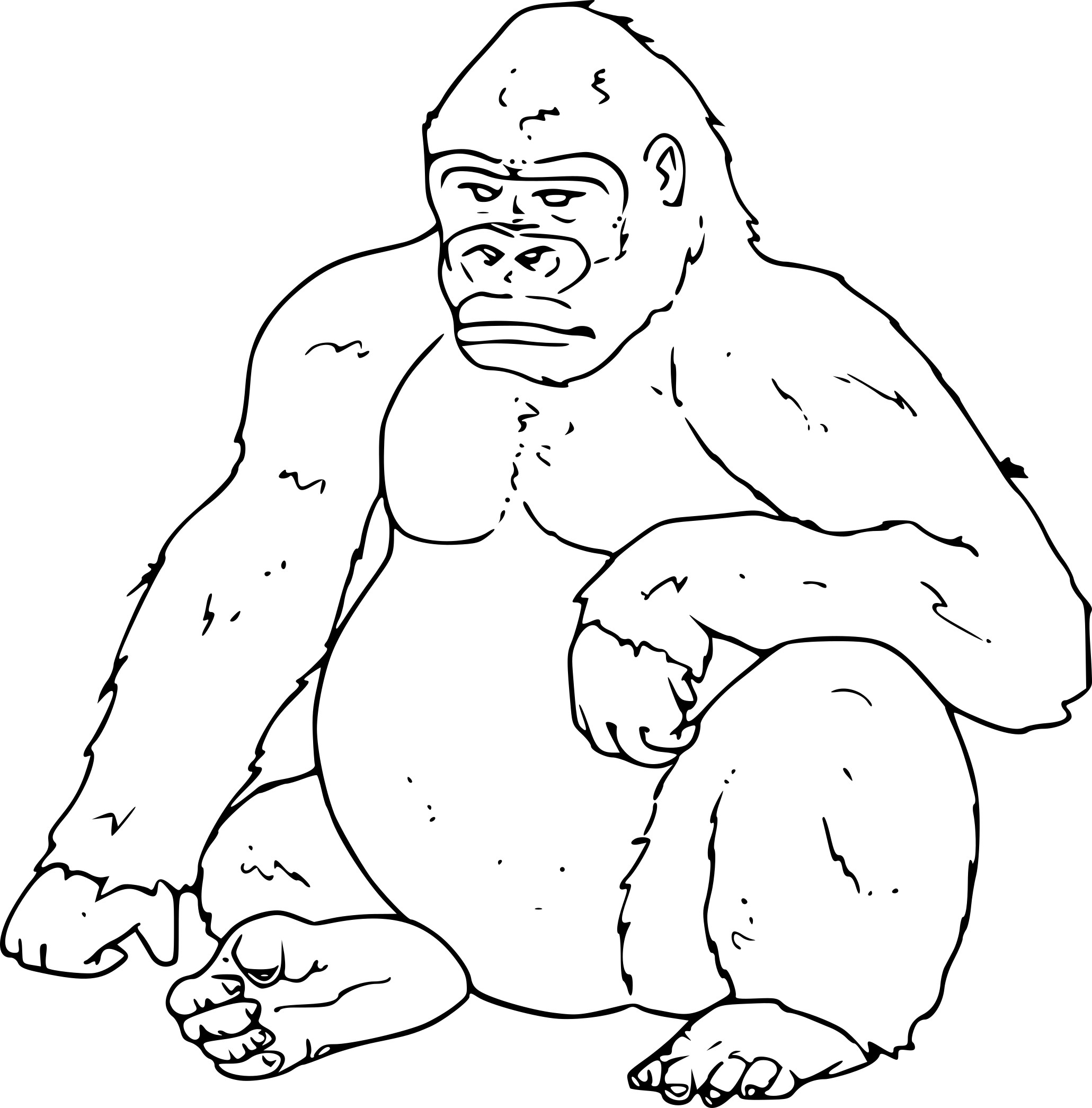 Coloriage Gorille Animal Jungle - Animaux de la jungle à imprimer