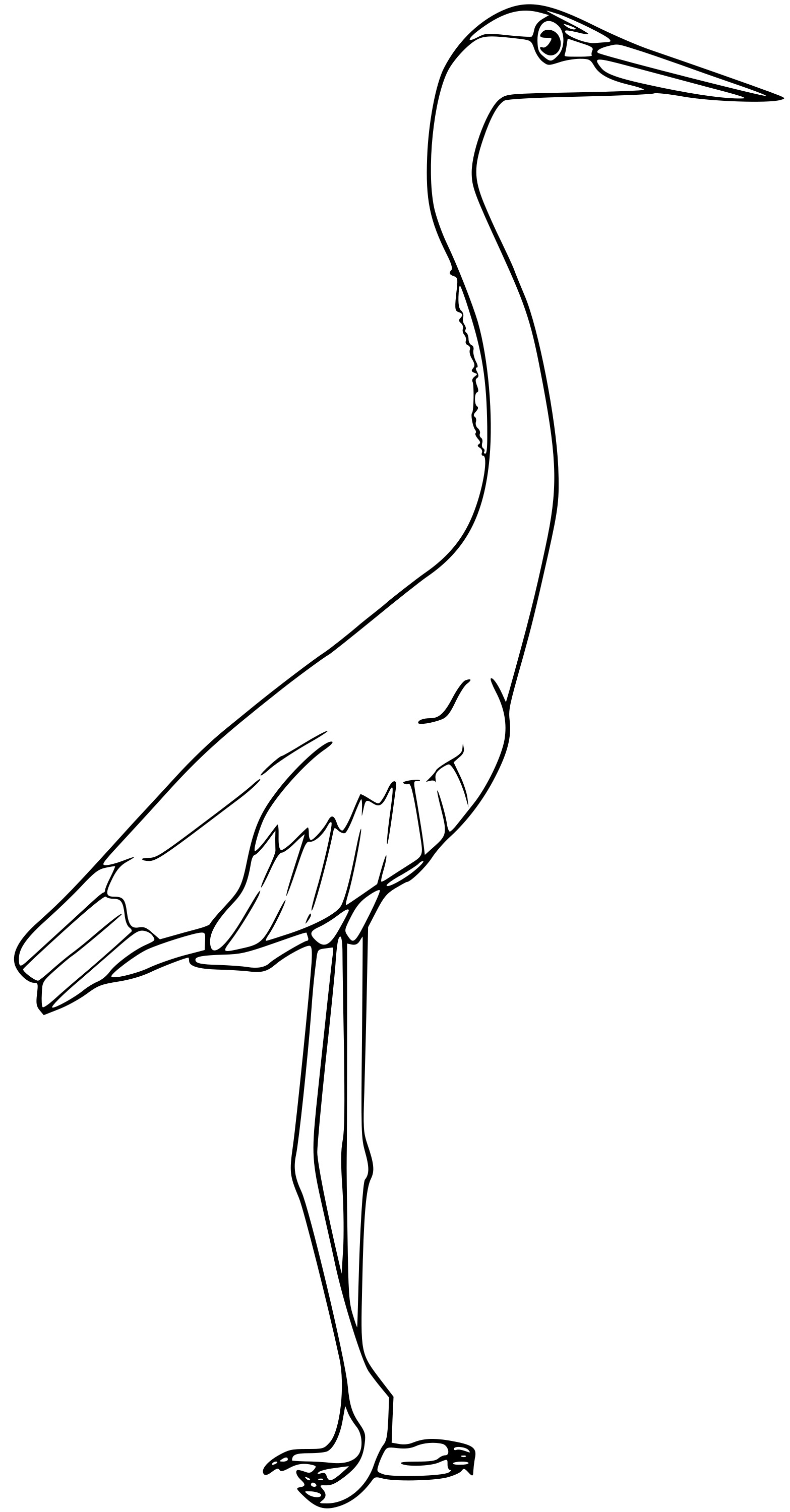 Coloriage Grand Heron Bleu - Oiseau à imprimer