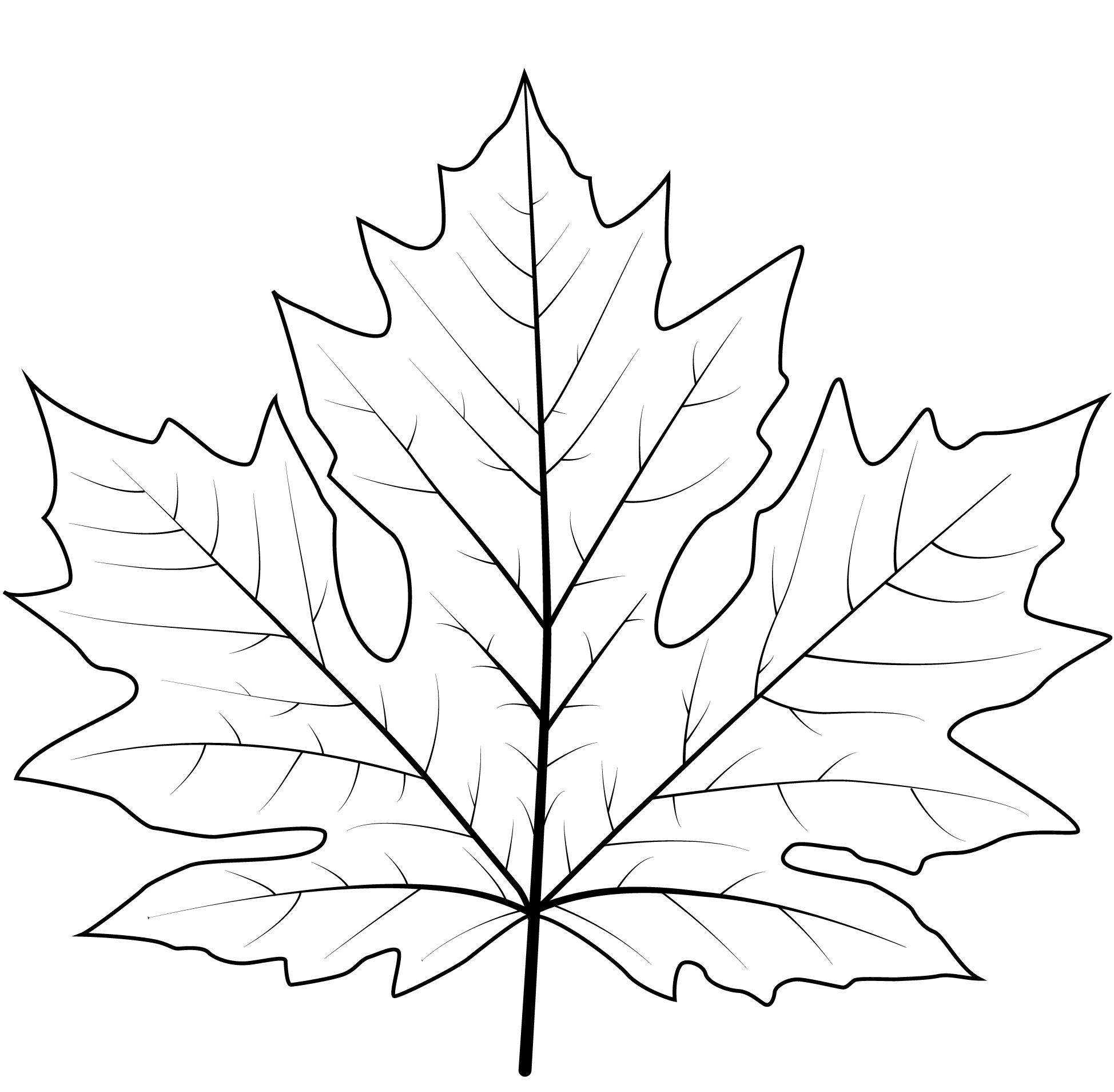 Coloriage Grande Feuille Érable - Feuille automne à imprimer