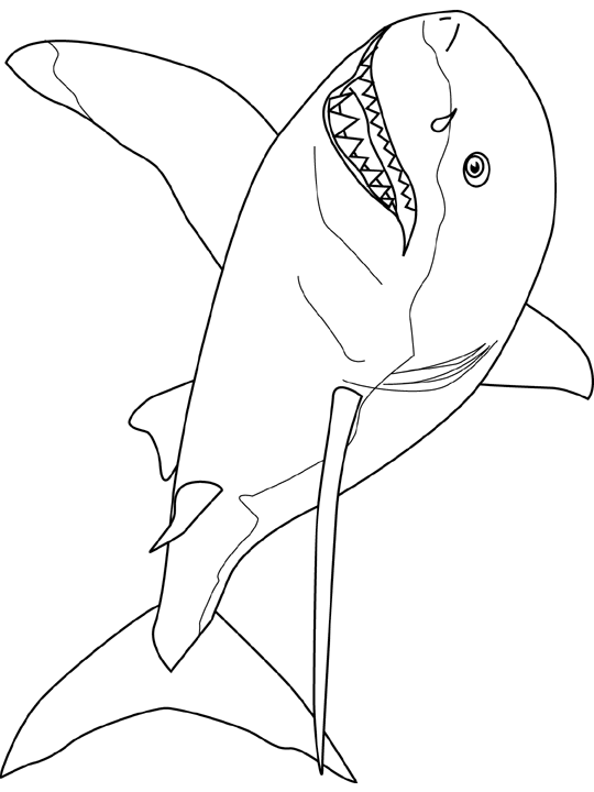 Coloriage Great White Shark - Poisson à imprimer