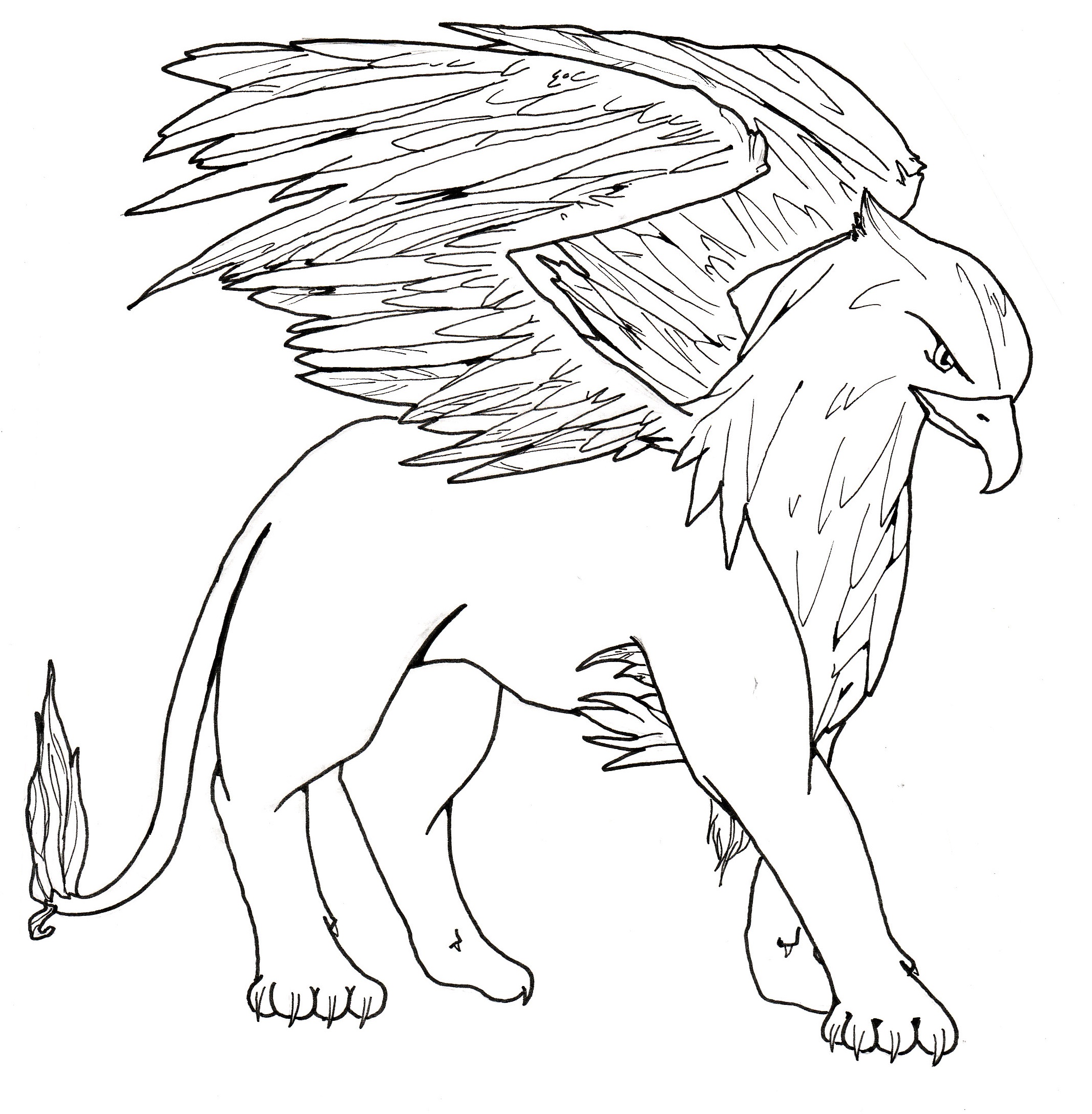 Coloriage Griffon