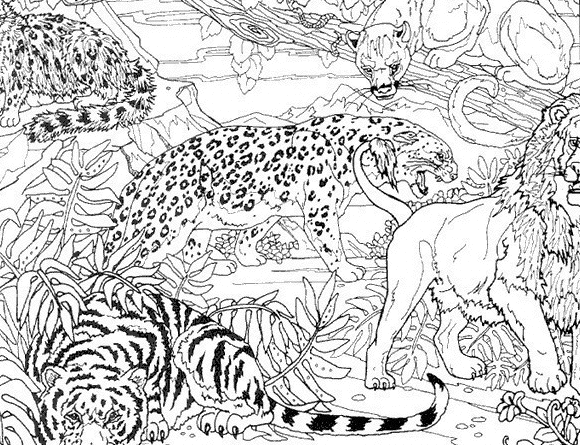 Coloriage Guépard Tigre Et Lion Dans La Jungle - Animaux à imprimer