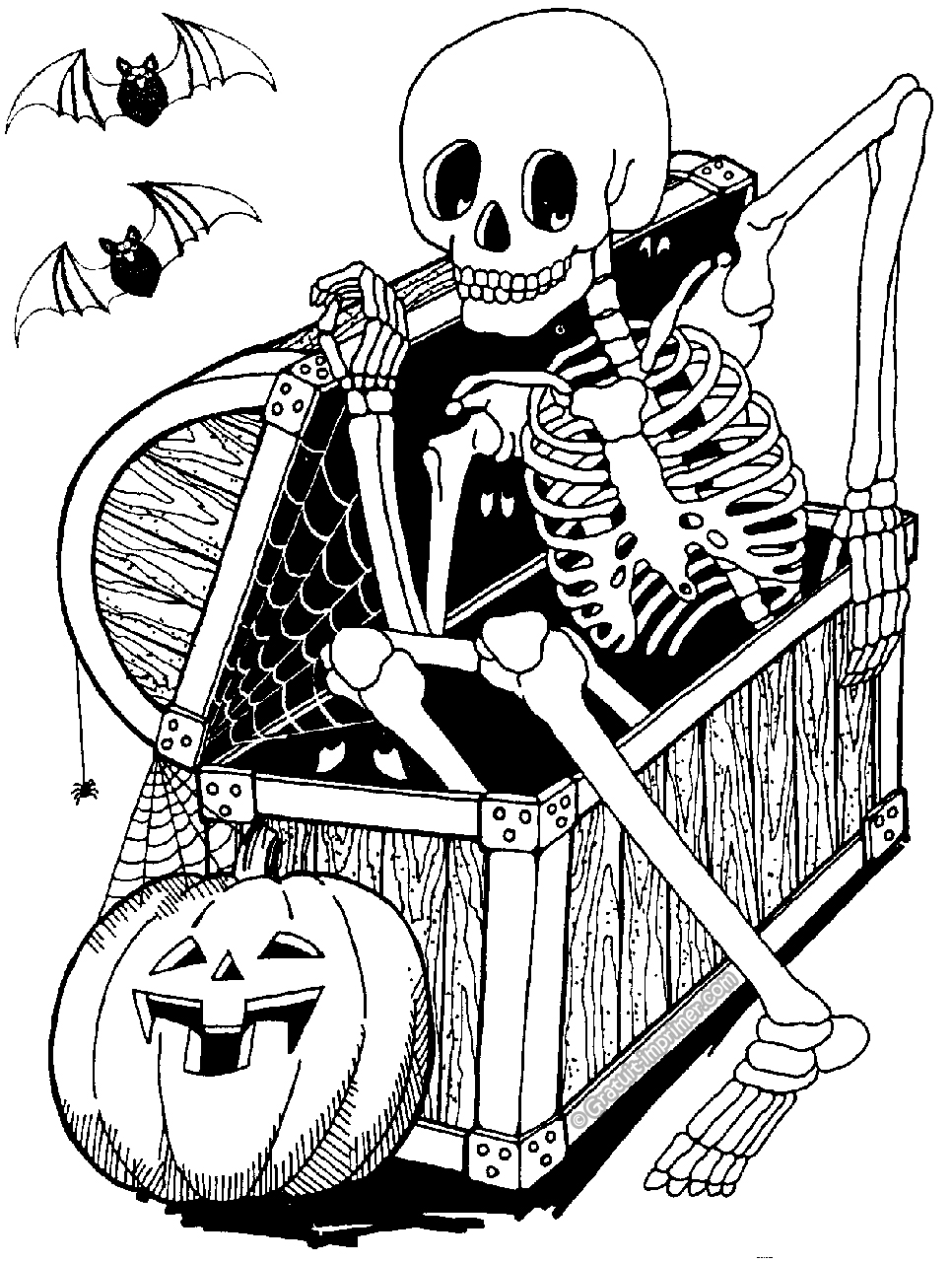 Coloriage Halloween Adulte Squelette - Squelette à imprimer