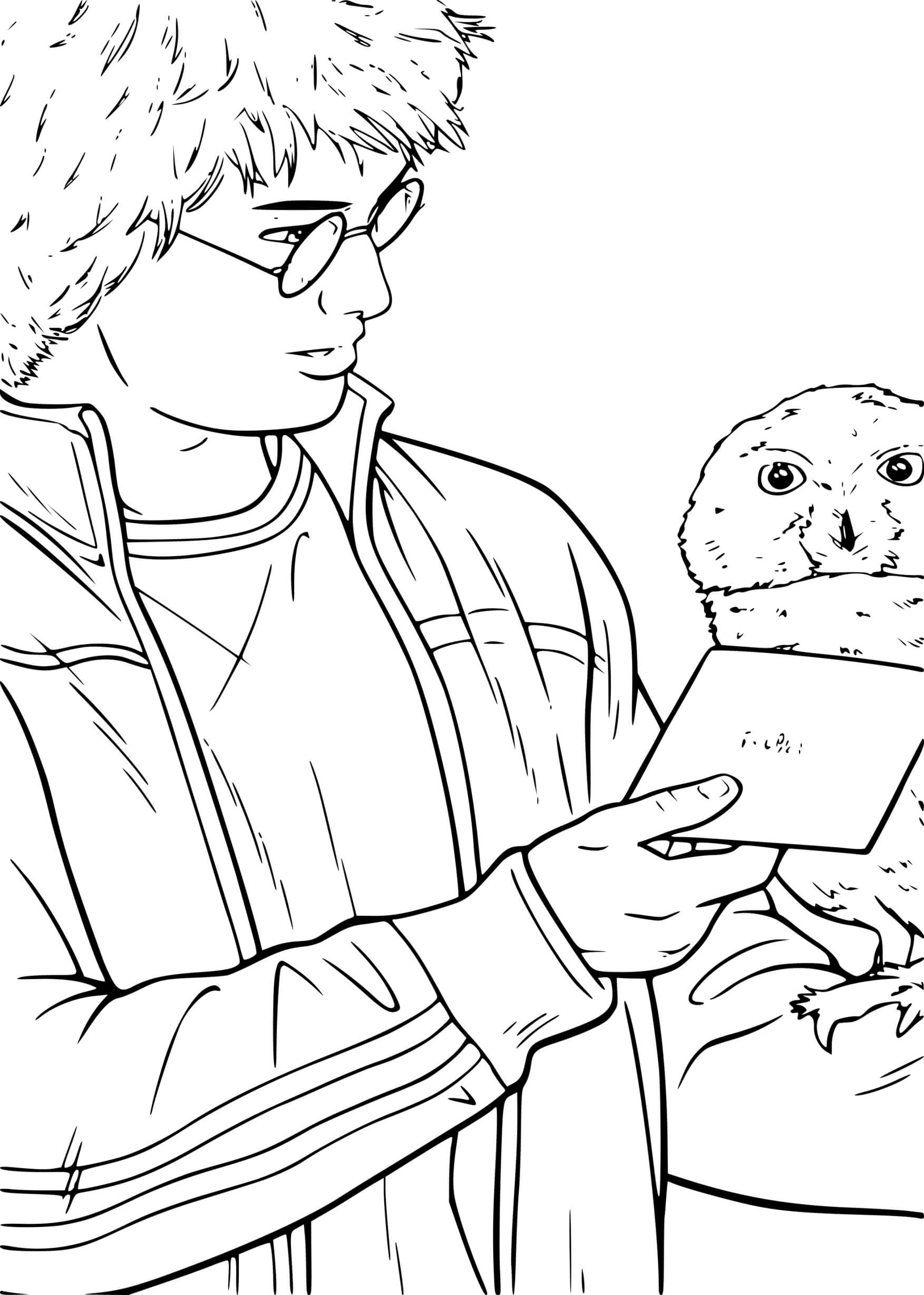 Coloriage Hedwig Le Hibou De Harry Potter Avec Une Lettre A Envoyer - Harry potter à imprimer