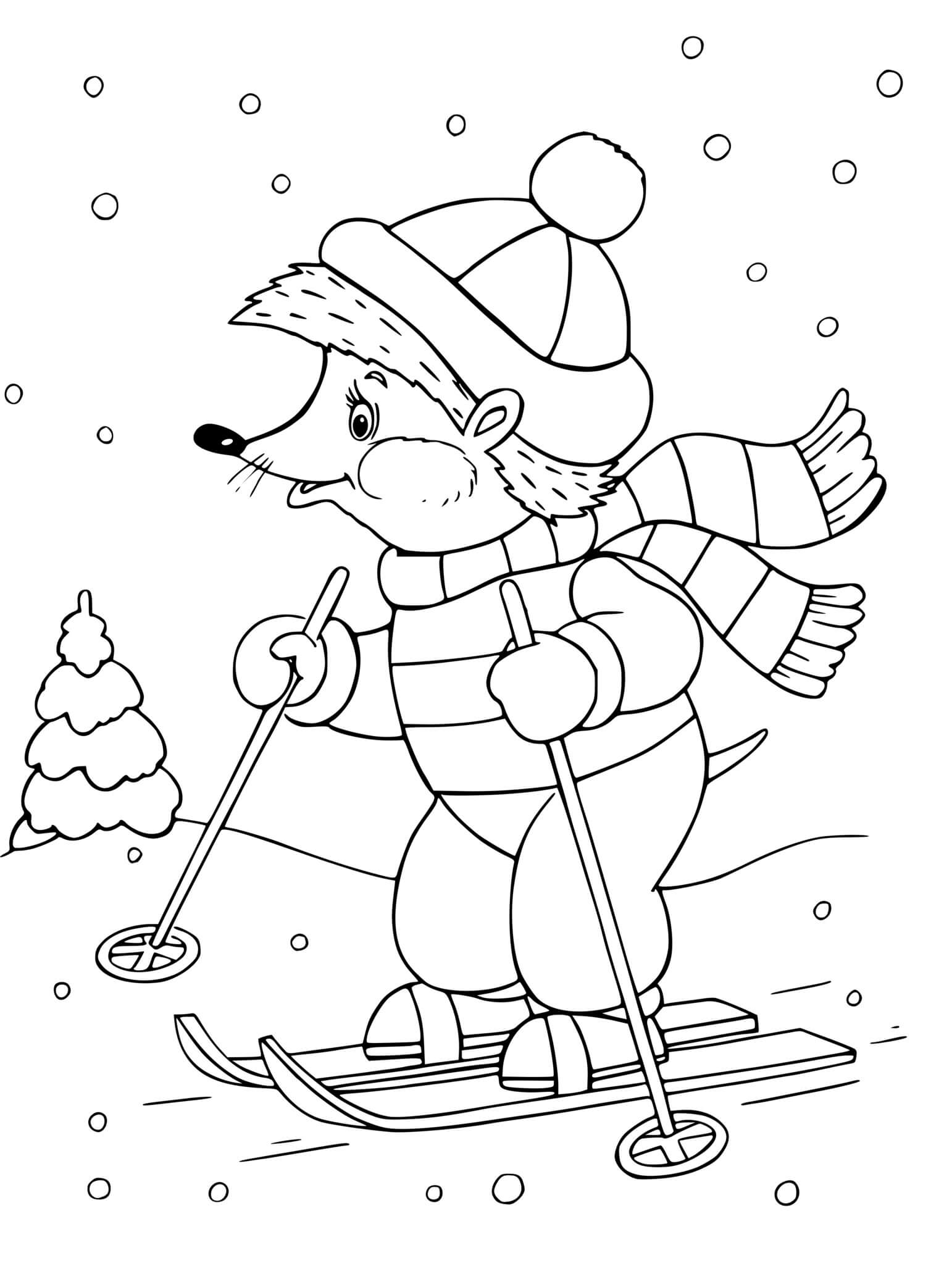 Coloriage Hérisson Fait Du Ski Animaux - Hiver à imprimer