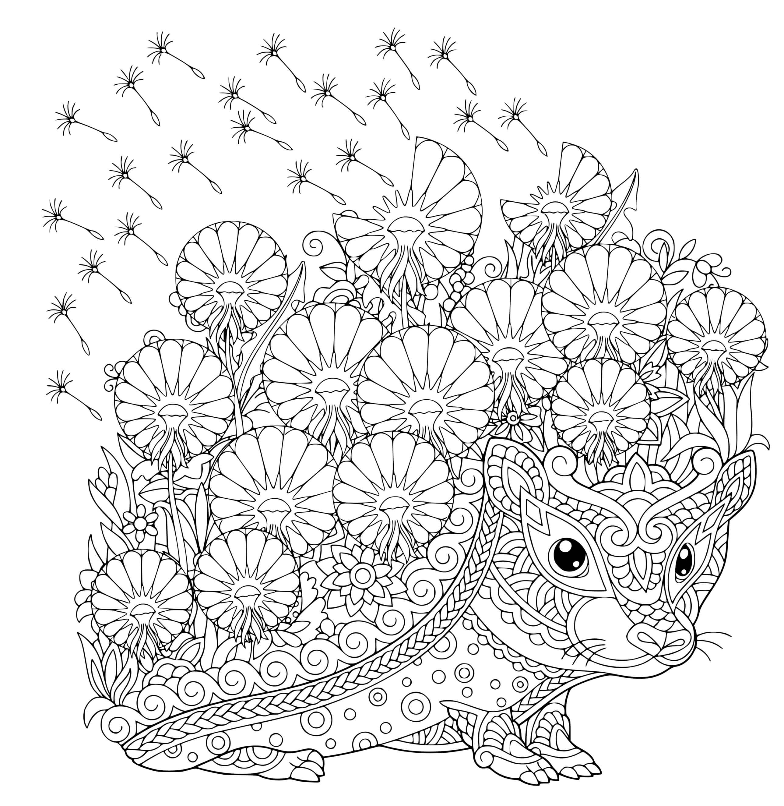 Coloriage Hérisson Mandala Adulte - Hérisson à imprimer