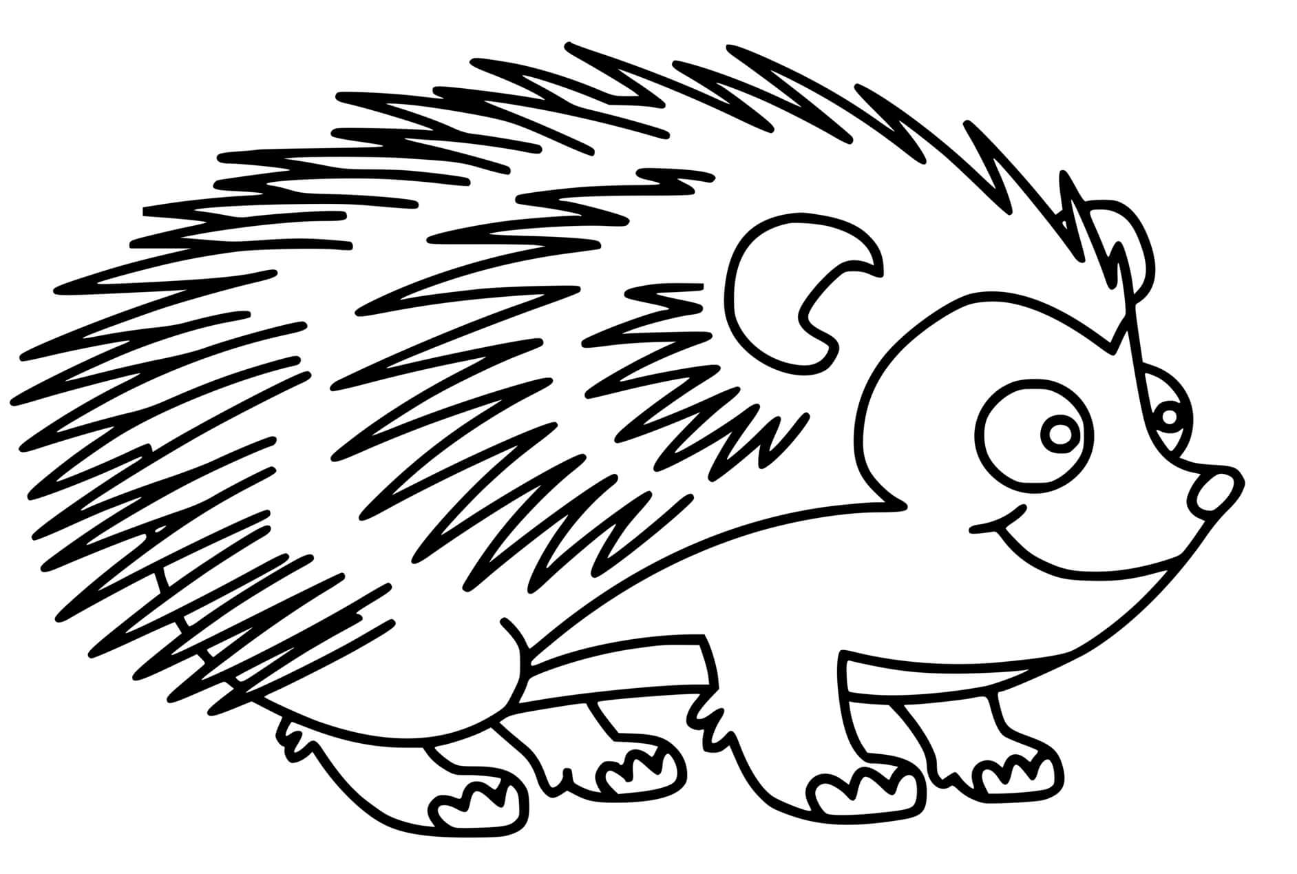 Coloriage Hérisson Mignon - Hérisson à imprimer