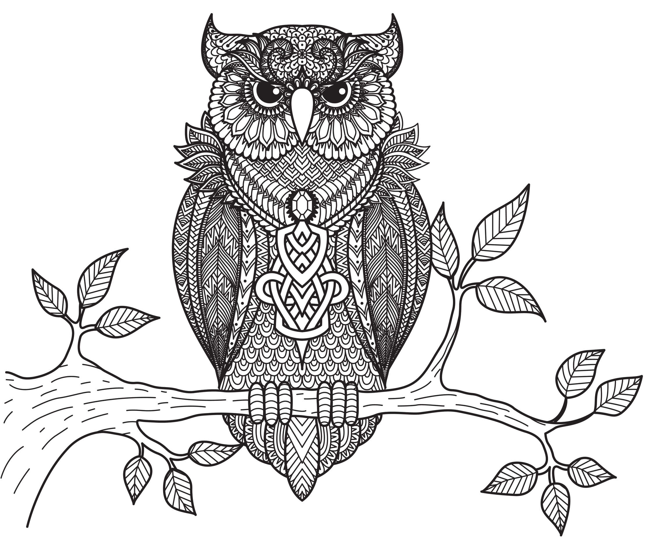 Coloriage Hibou Animaux Adulte Anti Stress Par Bimbimkha - Adulte à imprimer