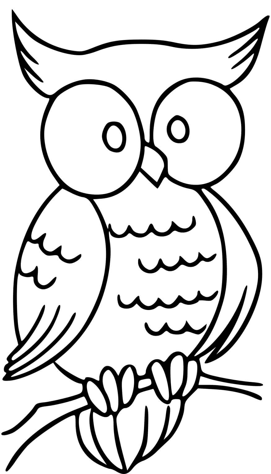 Coloriage Hiboux Avec De Gros Yeux - Hibou à imprimer