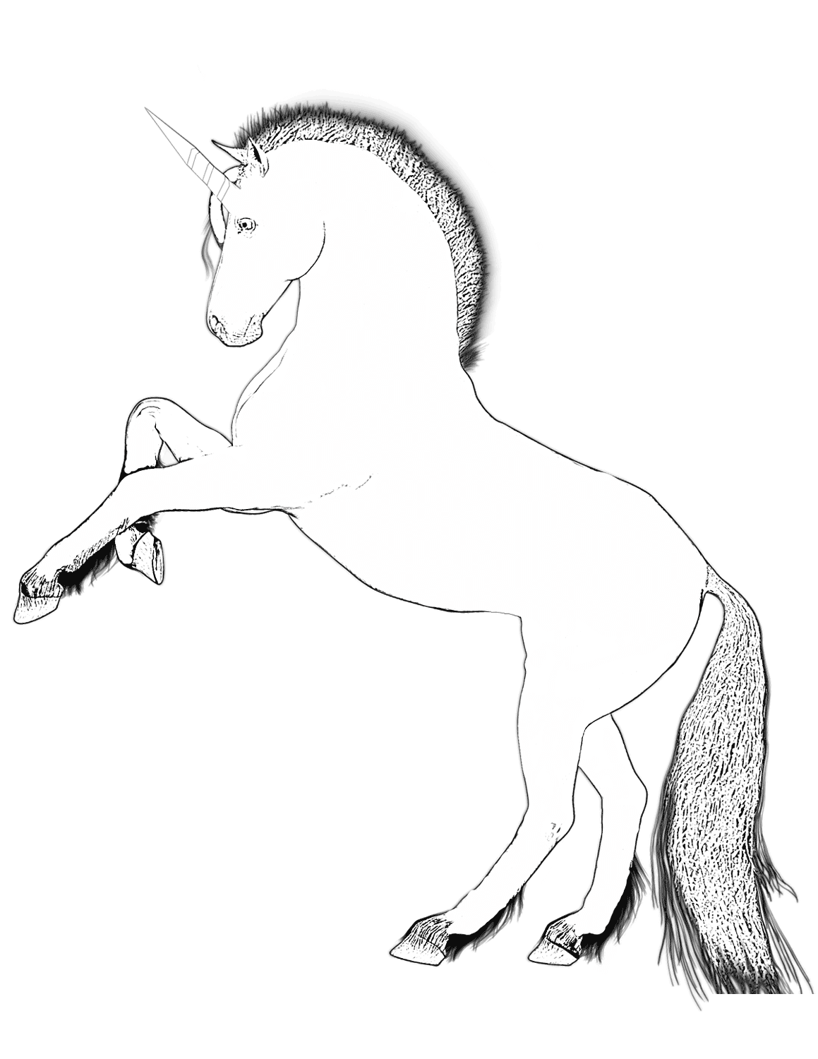 Coloriage Horse With A Single Straight Horn - Licorne à imprimer