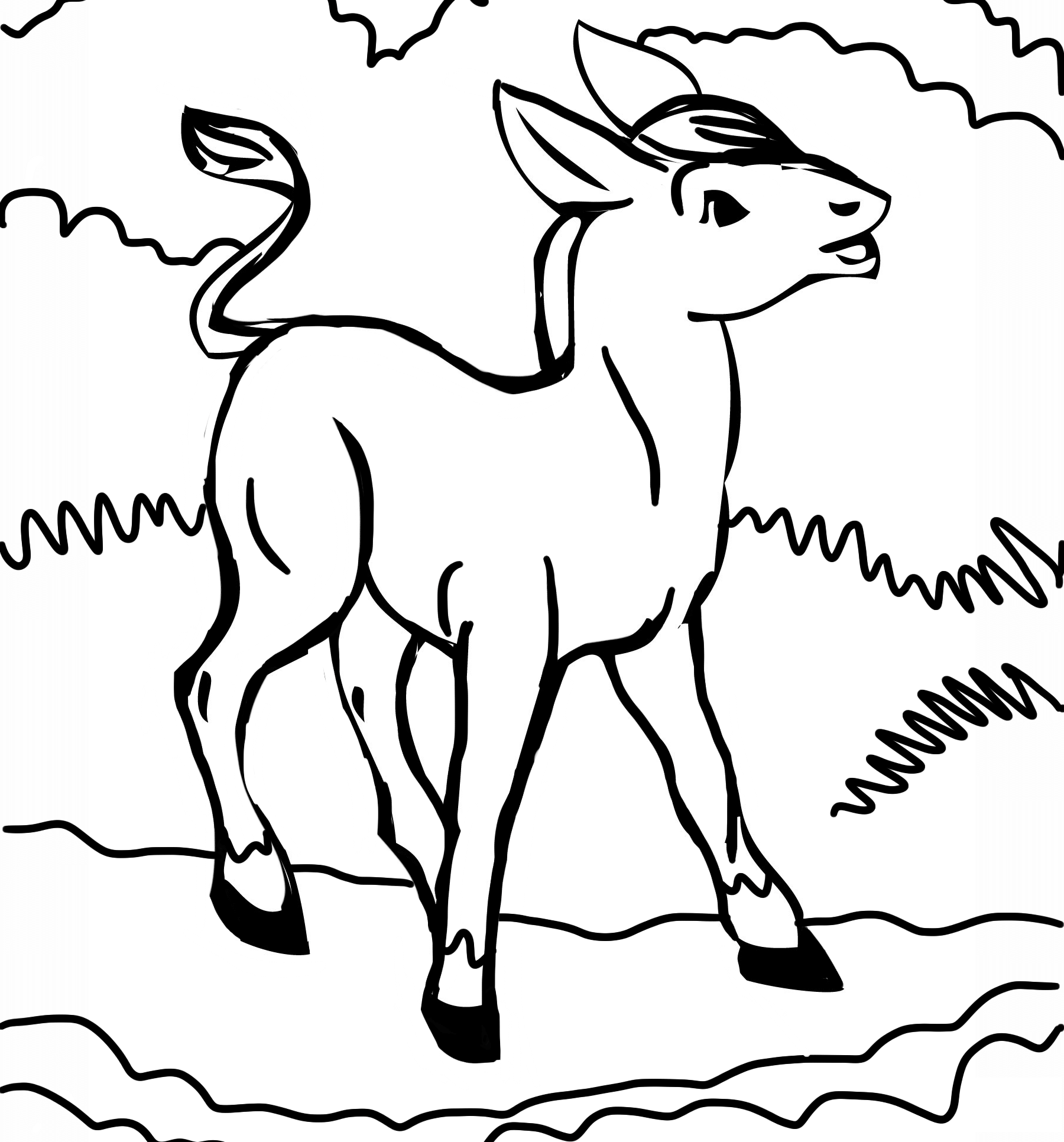 Coloriage Baudet souriant dans un pré fleuri - Âne à imprimer
