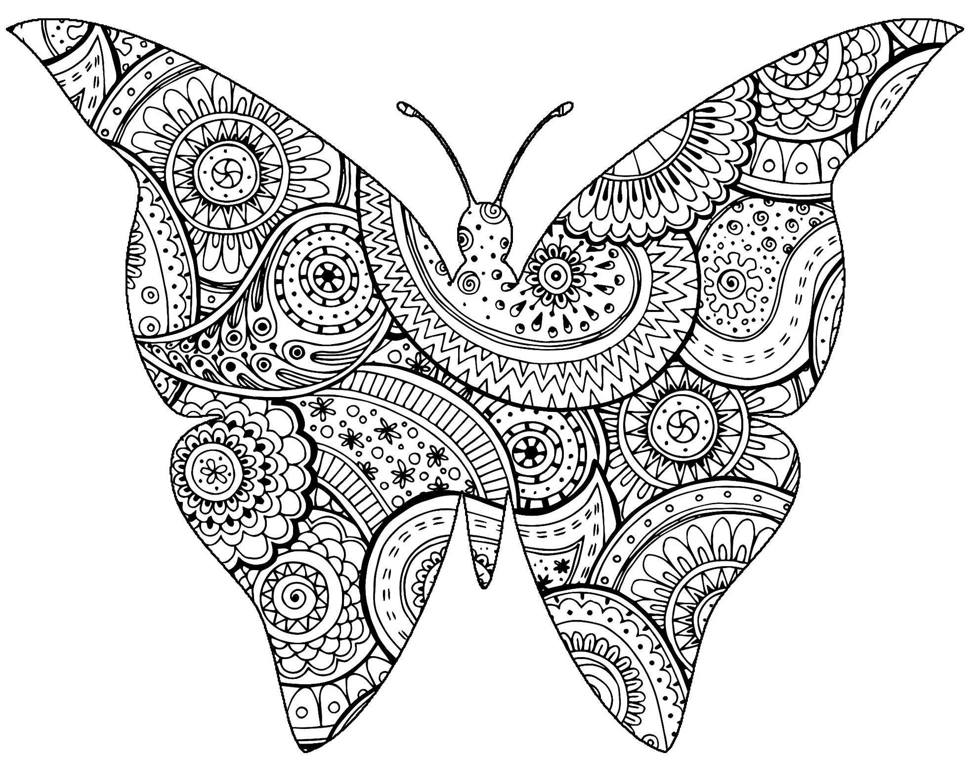 Coloriage Insecte Papillon Avec Zentangle Paisley Motifs Par Art Isabelle - Adulte animaux à imprimer
