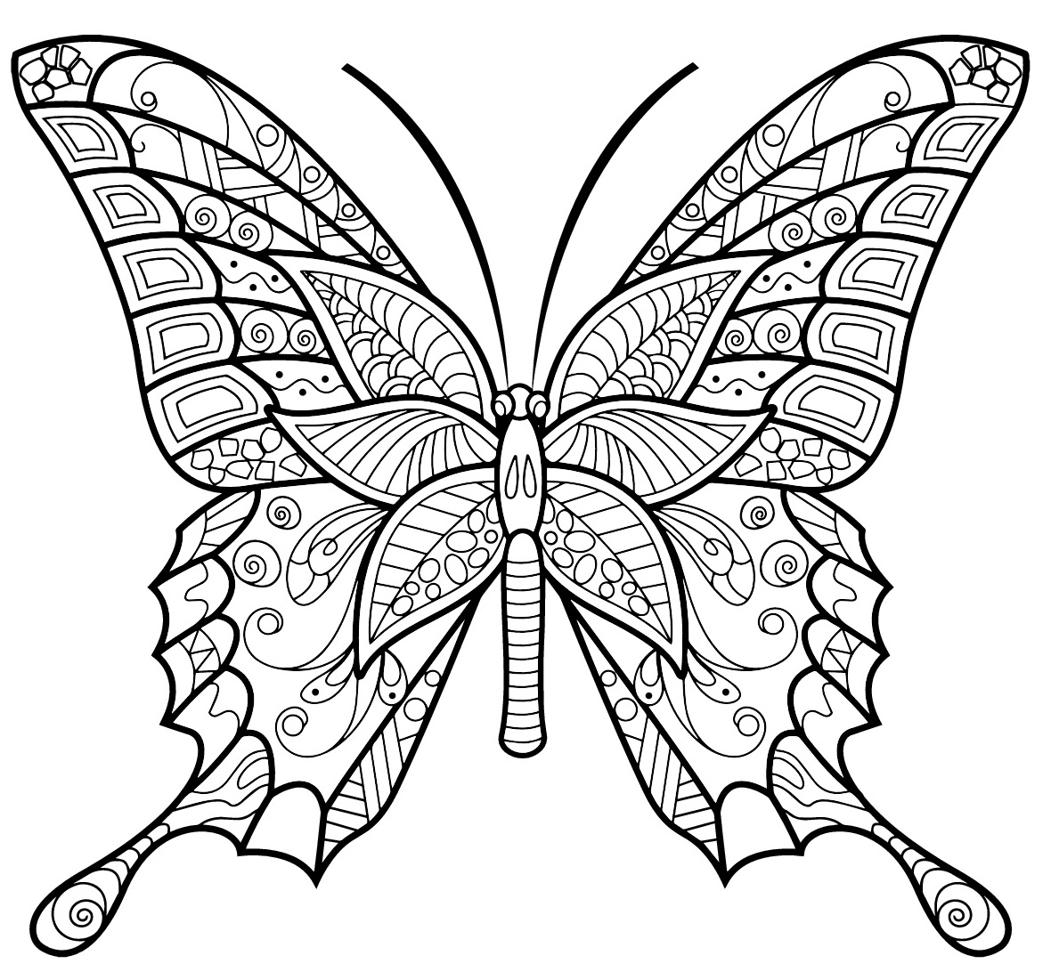 Coloriage Insecte Papillon Jolis Motifs - Adulte animaux à imprimer