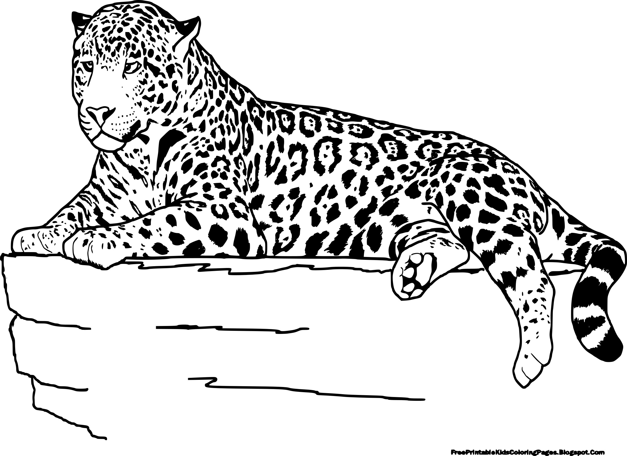 Coloriage Jaguar Aime Grimper Dans Les Arbres - Animaux sauvages à imprimer