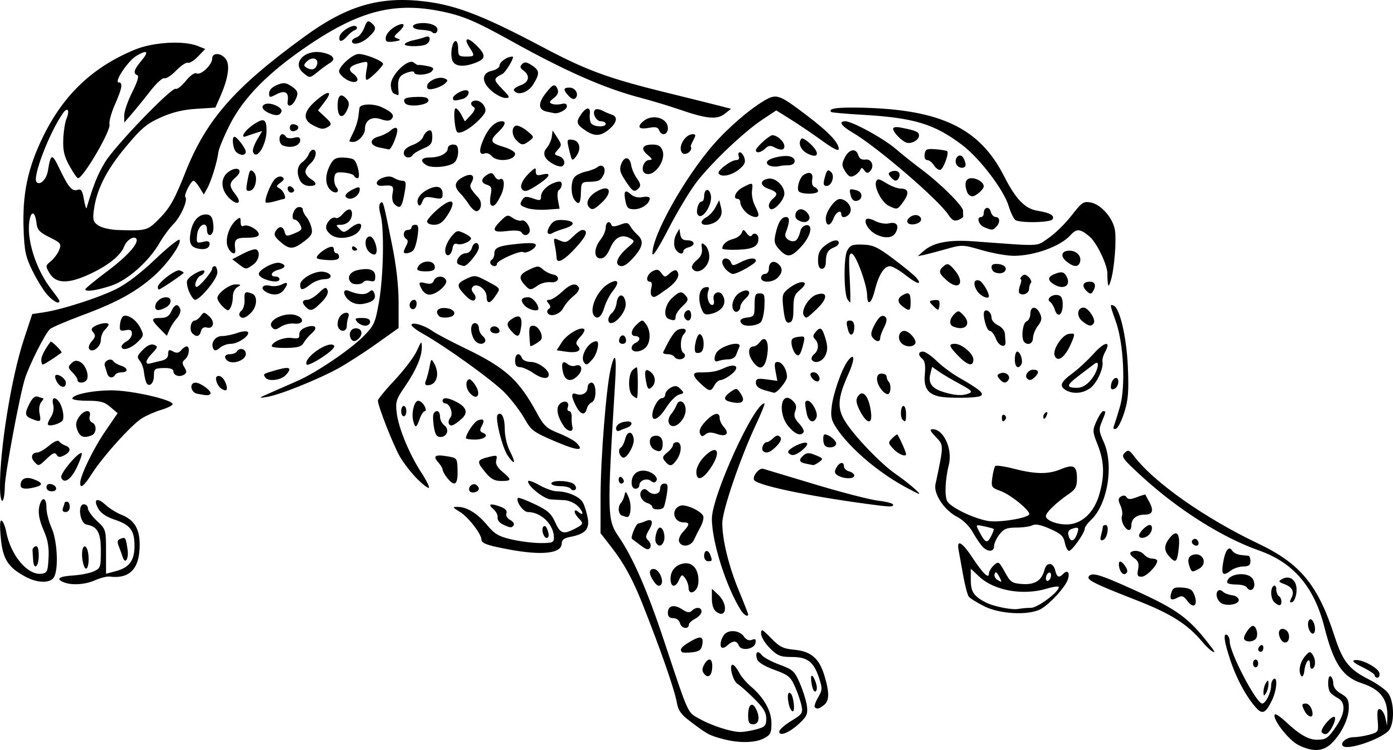 Coloriage Jaguar Felin Panthera De La Jungle - Animaux de la jungle à imprimer