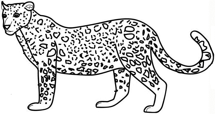 Coloriage Jolie Guépard - Animaux à imprimer