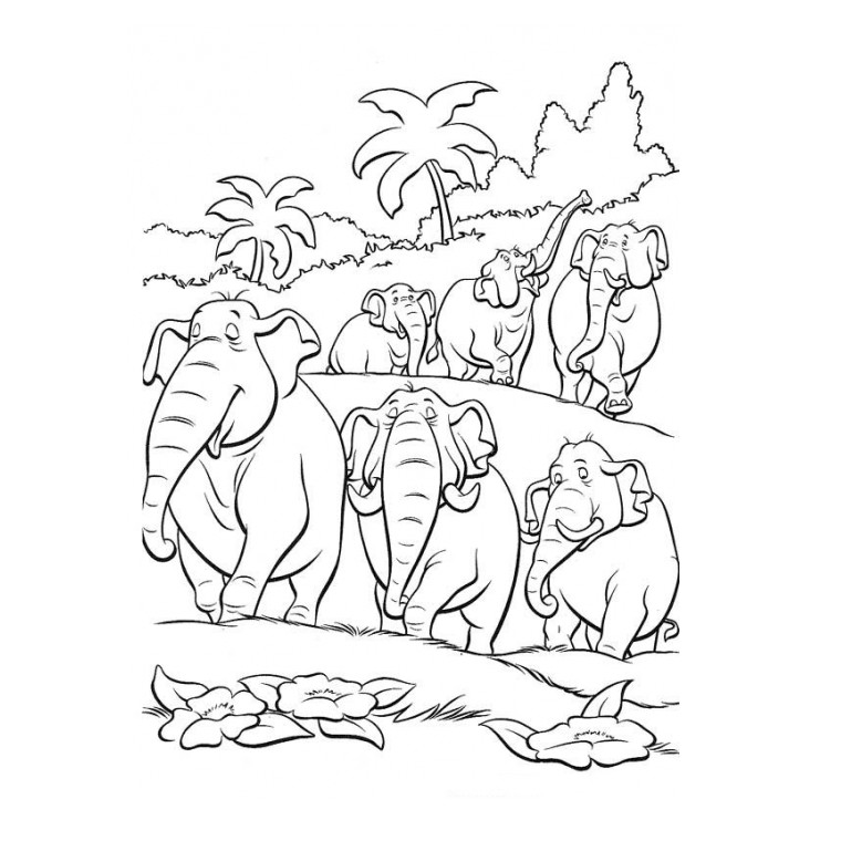 Coloriage Jungle Et Éléphants - Animaux à imprimer