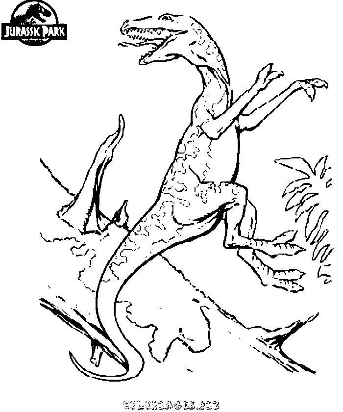 Coloriage Dinosaure féroce du monde jurassique - Jurassic world park à imprimer