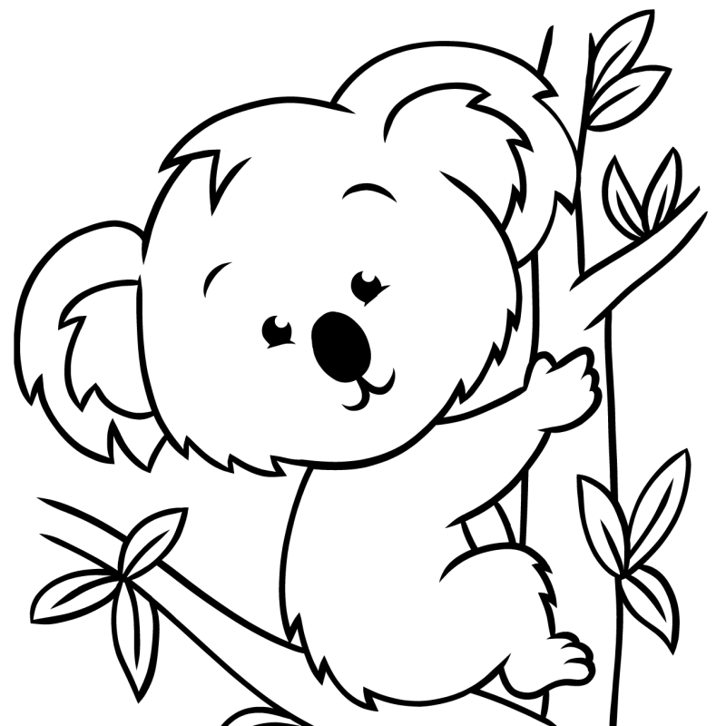 Coloriage Koala Grimpant Un Tronc Darbre - Koala à imprimer