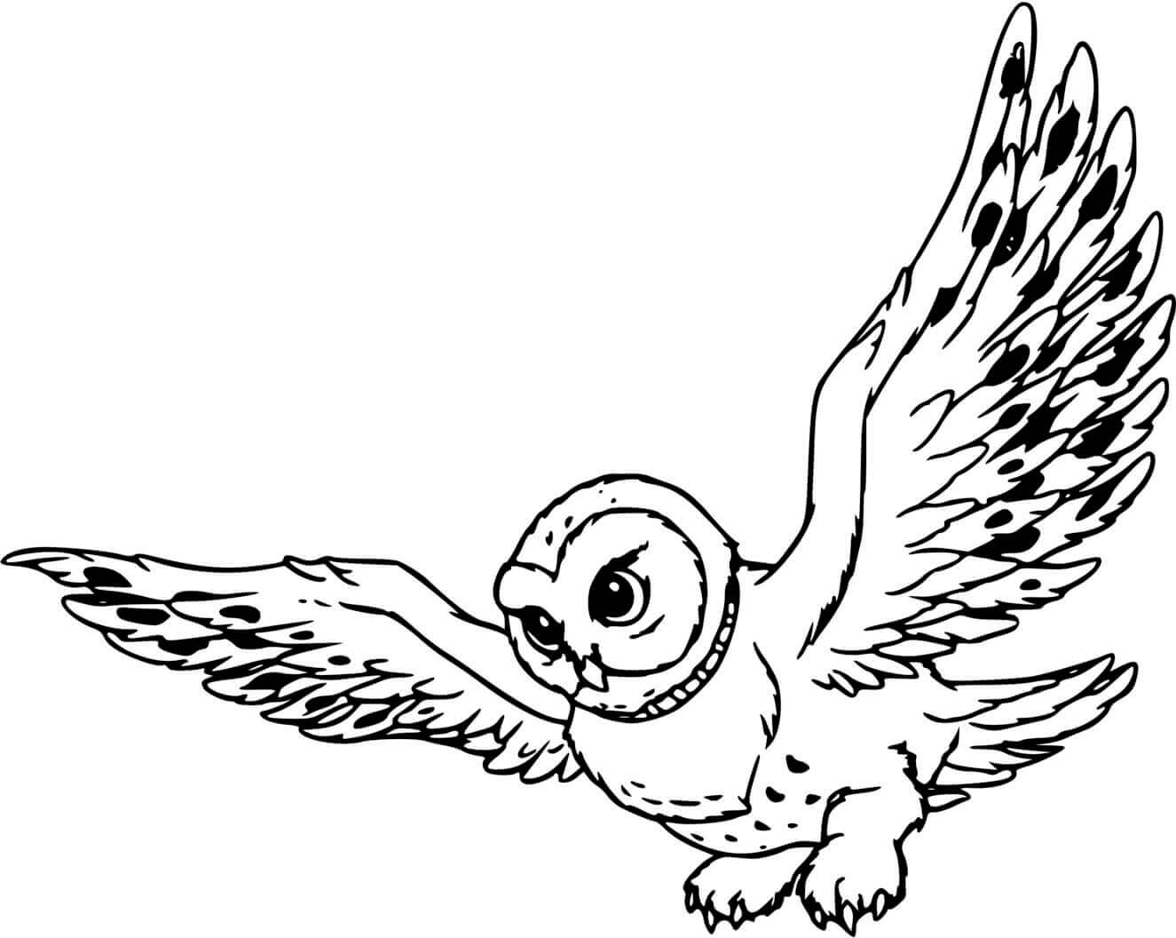 Coloriage L'Envol D'Une Chouette En Dessin - Hibou à imprimer
