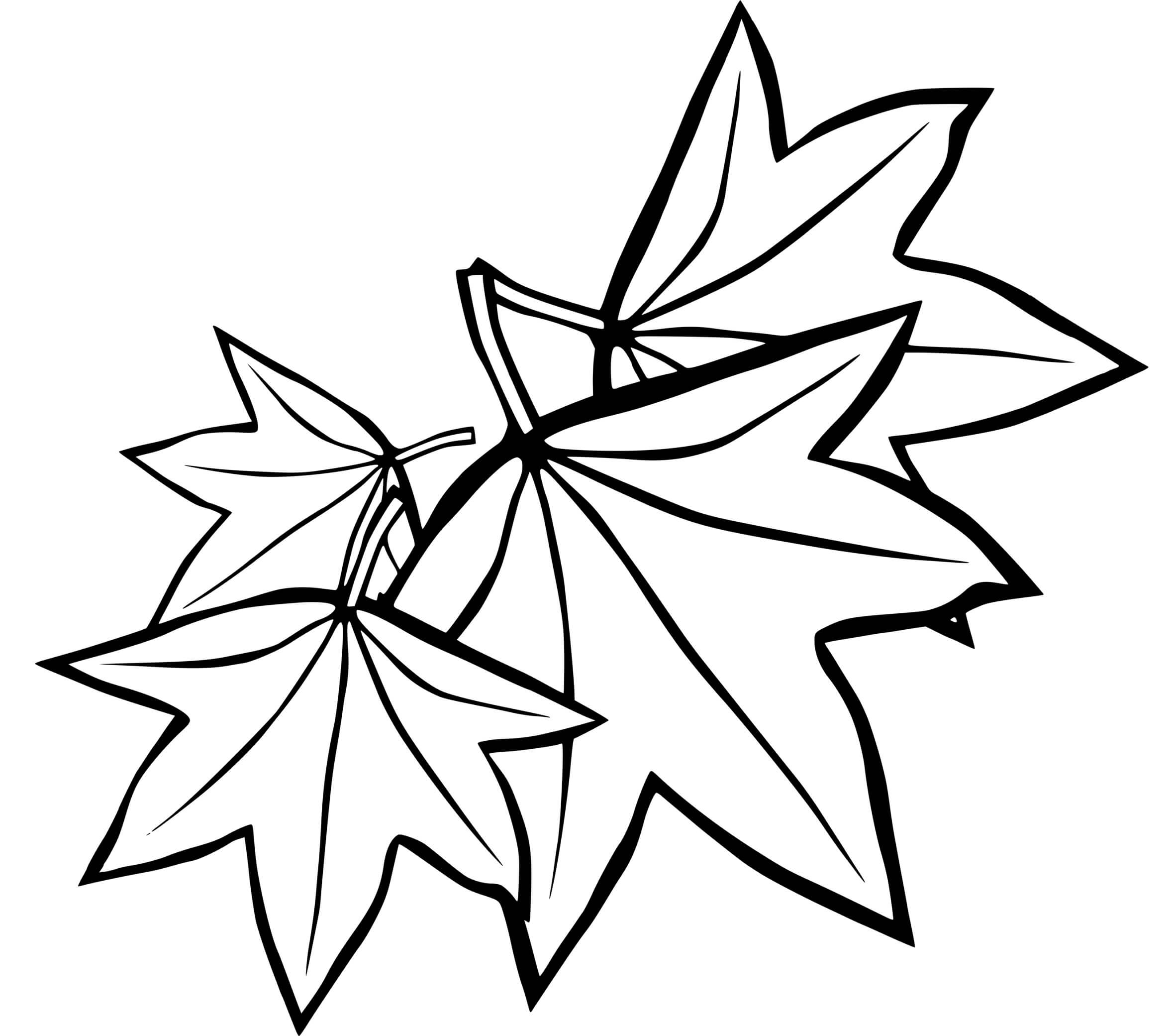 Coloriage La Saison De Croissance Feuilles Érables - Feuille automne à imprimer