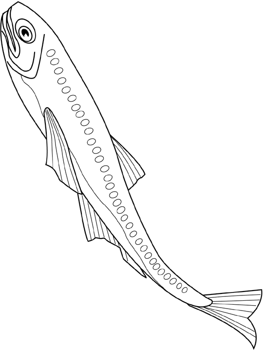 Coloriage Lanternfish - Poisson à imprimer