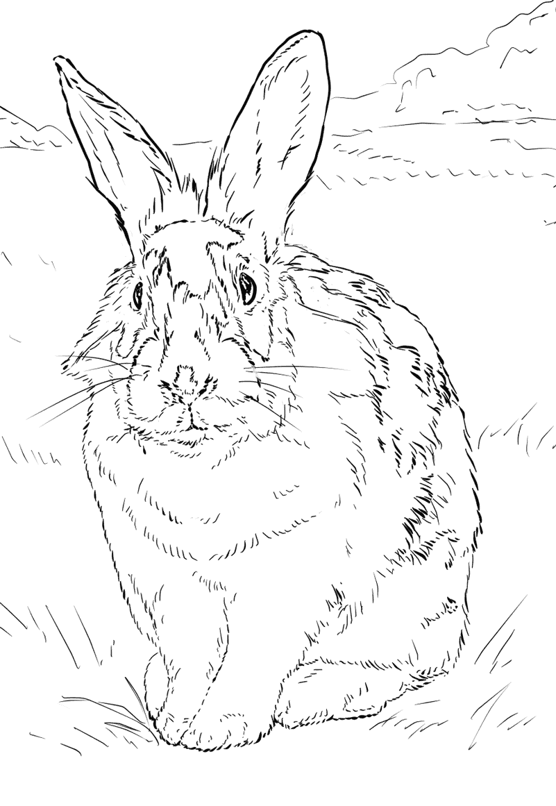 Coloriage Lapin Relaiste Dans Un Environnement Naturel - Lapin à imprimer