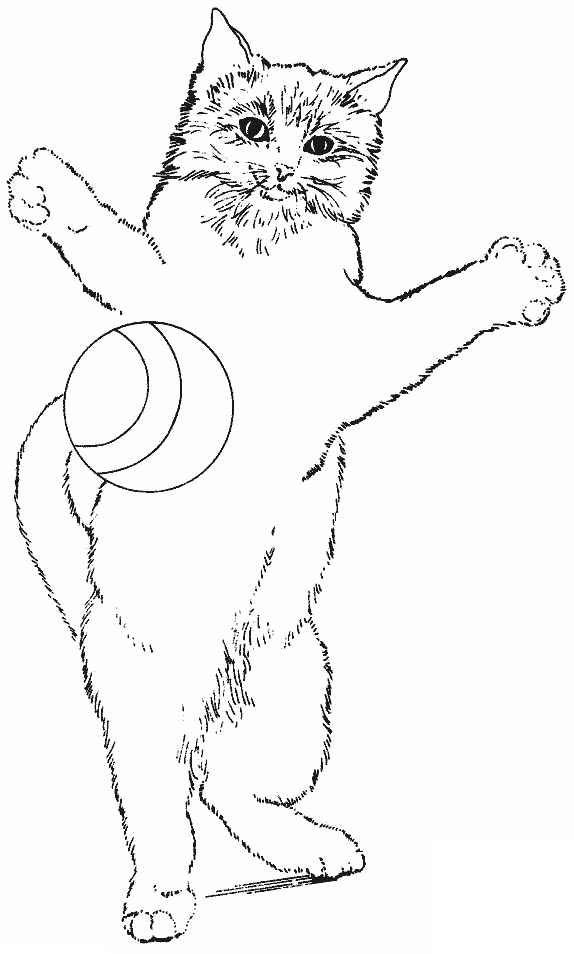 Coloriage Le Chat Joue Avec Une Balle - Chat à imprimer