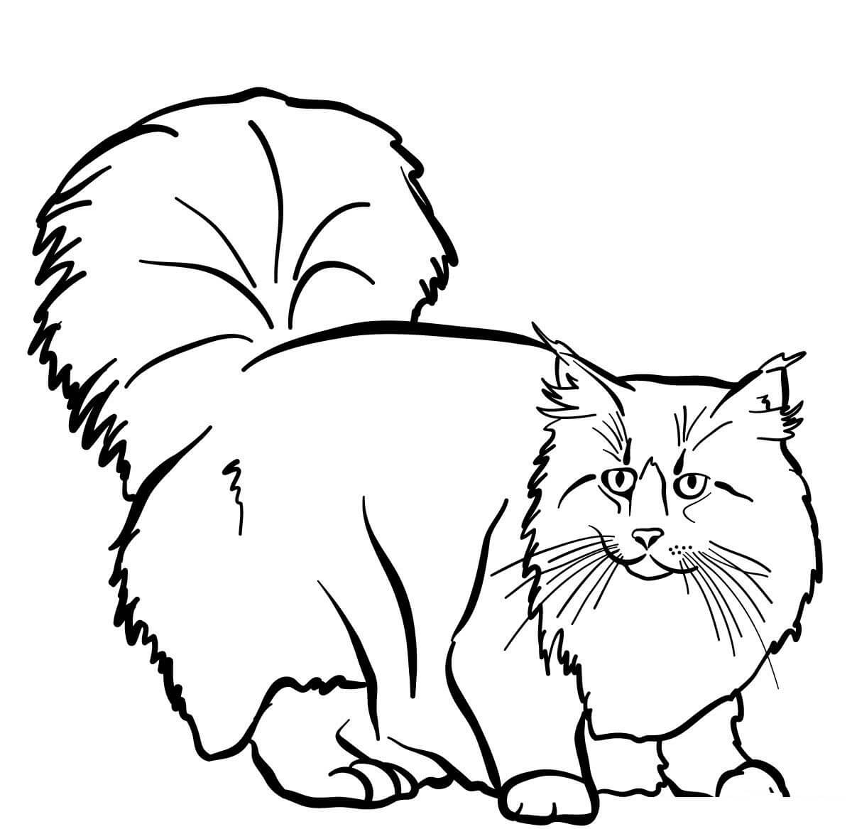 Coloriage Le Chat Norvegien Aussi Appele Chat Des Forêts Norvegiennes Ou Norsk Skogkatt Est Une Race De Chat A Poil Mi Long Originaire De Norvege - Chat à imprimer