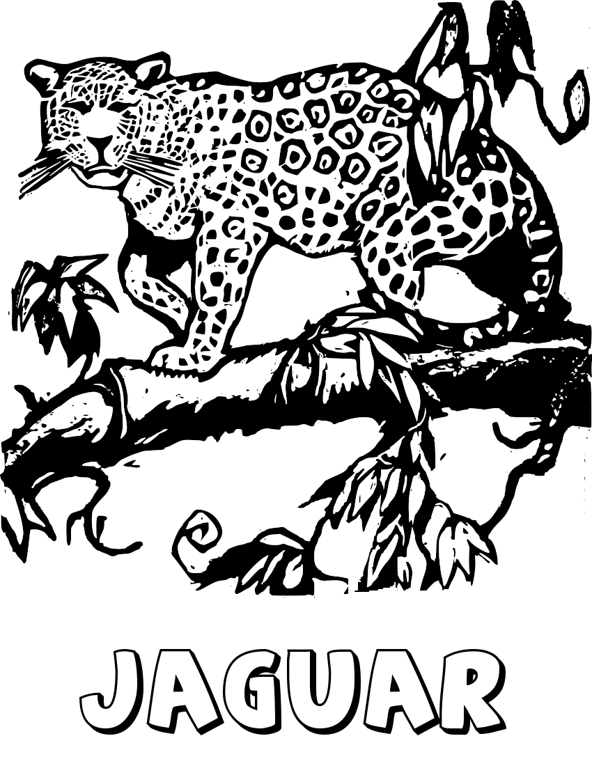 Coloriage Le Grand Felin Jaguar - Animaux de la jungle à imprimer