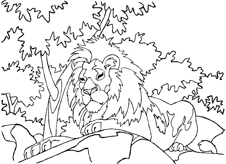 Coloriage Le Lion Qui Domine La Plaine - Lion à imprimer
