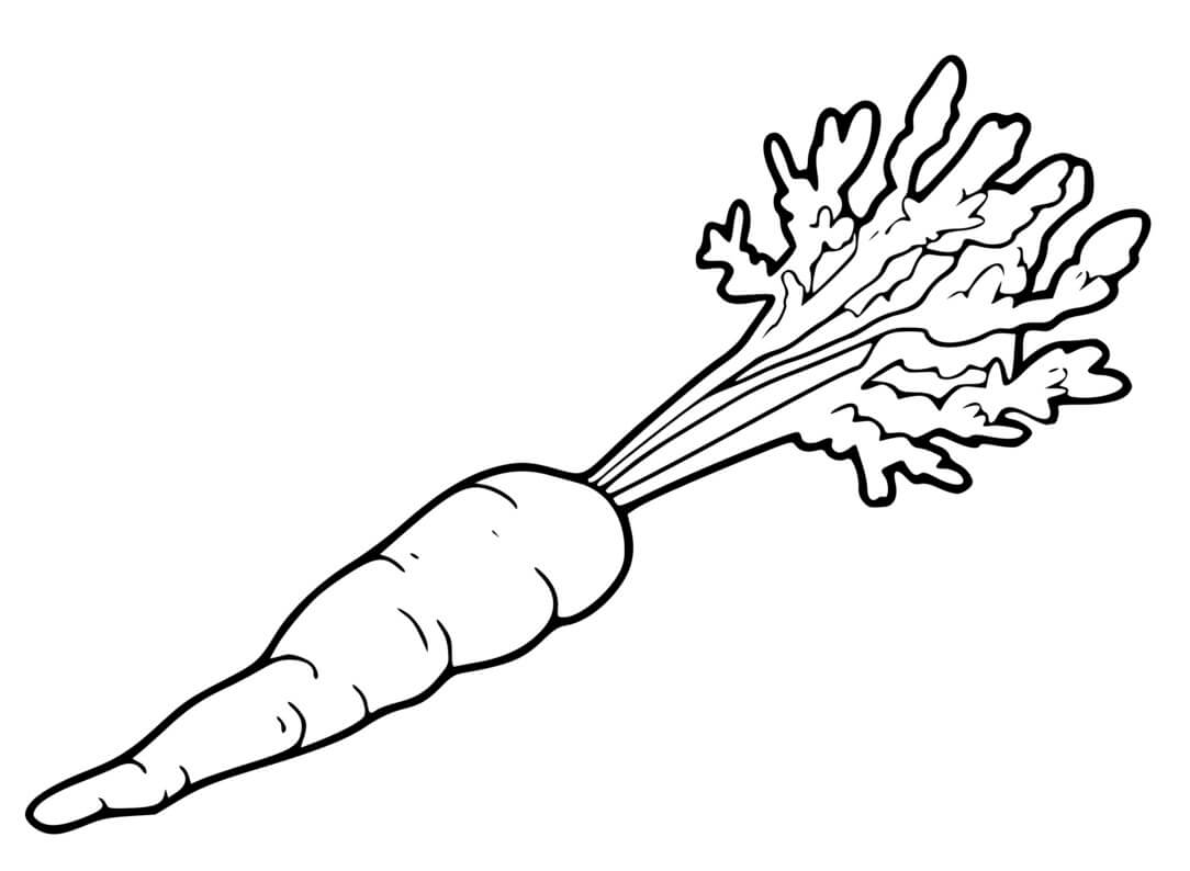 Coloriage Légume Carotte Orange - Carotte à imprimer