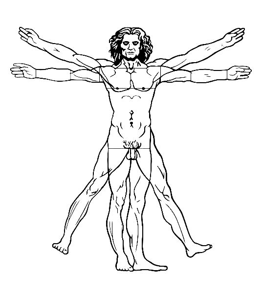 Coloriage L'Homme de Vitruve de Léonard de Vinci - Art à imprimer