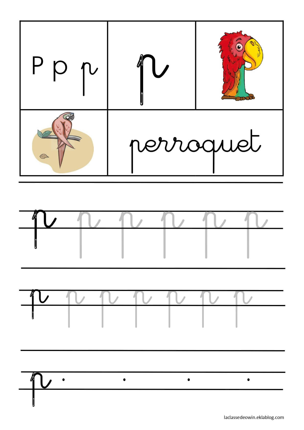 Coloriage Lettre P Pour Perroquet Écriture Cursive Gs - Écriture cursive à imprimer