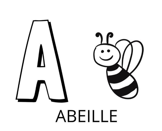 Coloriage Alphabet des animaux