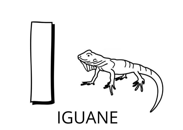 Coloriage Lettre I Comme Iguane - Alphabet des animaux à imprimer