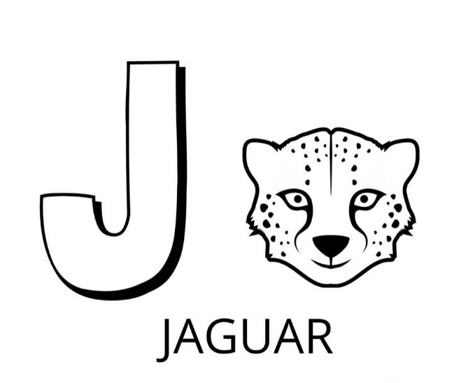 Coloriage Lettre J Comme Jaguar - Alphabet des animaux à imprimer