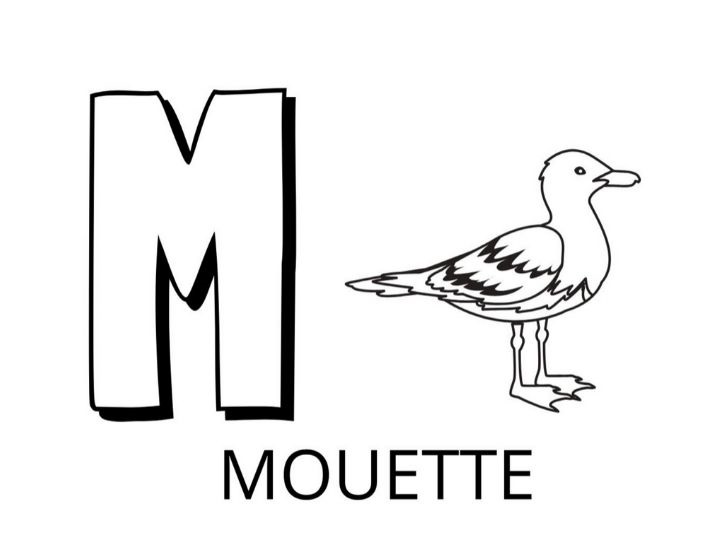 Coloriage Lettre M Comme Mouette - Alphabet des animaux à imprimer