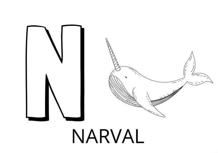 Coloriage Lettre N Comme Narval - Alphabet des animaux à imprimer