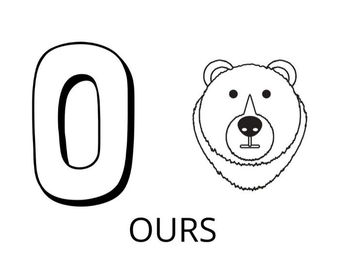 Coloriage Lettre O Comme Ours - Alphabet des animaux à imprimer