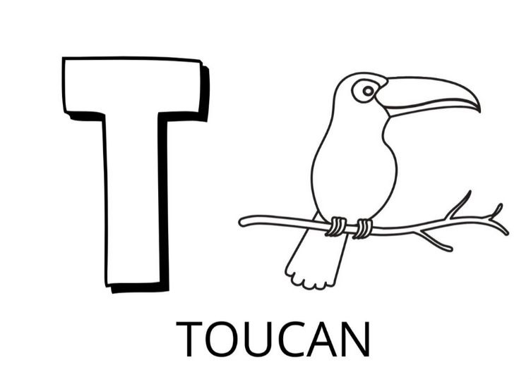 Coloriage Lettre T Comme Toucan - Alphabet des animaux à imprimer